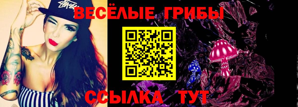 Галлюциногенные грибы Psilocybe  Вход с VPN  Партизанск  что такое наркотик  Галлюциногенные грибы ЛСД 